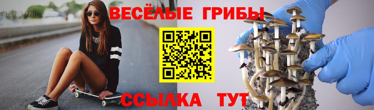 дарнет шоп  Псилоцибиновые грибы прущие грибы  Псилоцибиновые грибы ЛСД  Вход с VPN  Магадан 